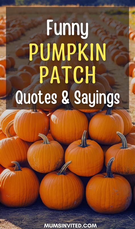 Pumpkin Patch Quotes Tumblr