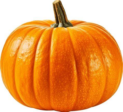 Bring on the Autumn Cheer with Delicious Pumpkin Pngs!