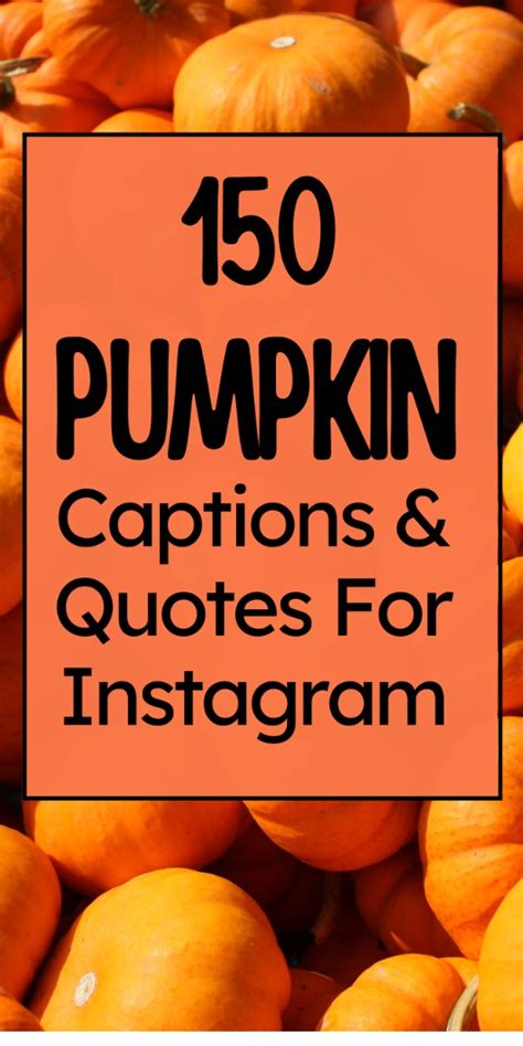 Pumpkin Quotes Instagram