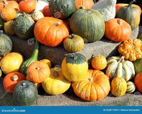 Pumpkins and Gourds