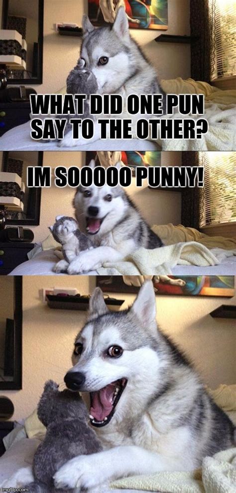Pun Meme Dog
