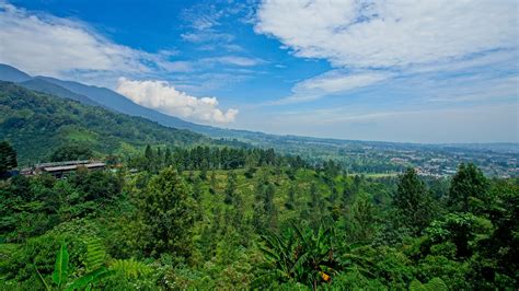 Nearby Attractions in Puncak Indonesia
