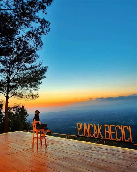 Puncak Pinus Becici