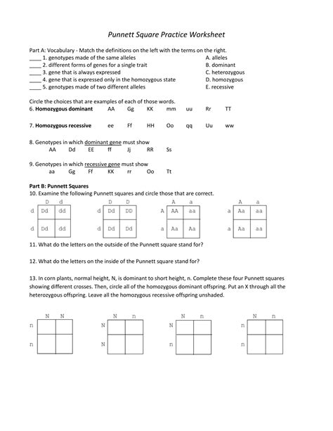 Punnett Square Practice Worksheet With Answer Key