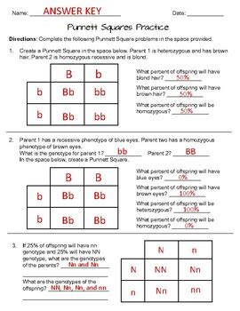 Punnett Square Practice Worksheets with Answer... by The Science Lady