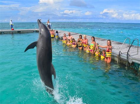Punta Cana Dolphin Action Program