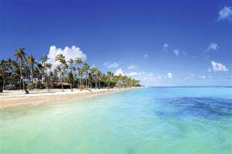 Punta Cana Tour Highlights