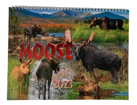 Punta Gorda Moose Calendar