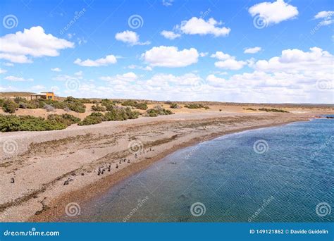 Punta Tombo landscape