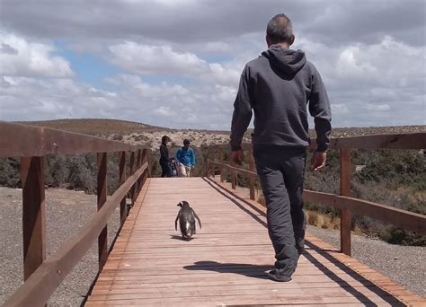 Punta Tombo walking trails