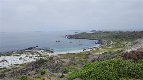 Punta de Choros Chile