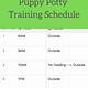 Puppy Training Schedule Printable