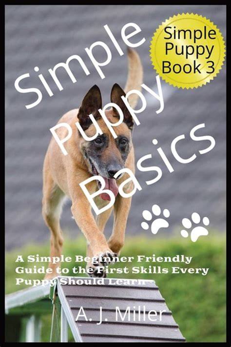 Puppy: A Beginner-Friendly Walkthrough