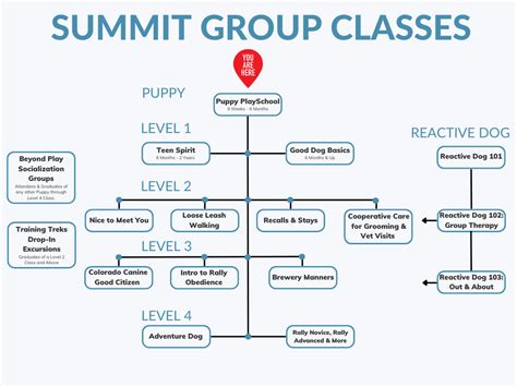 Puppy Classes Starting Off Right