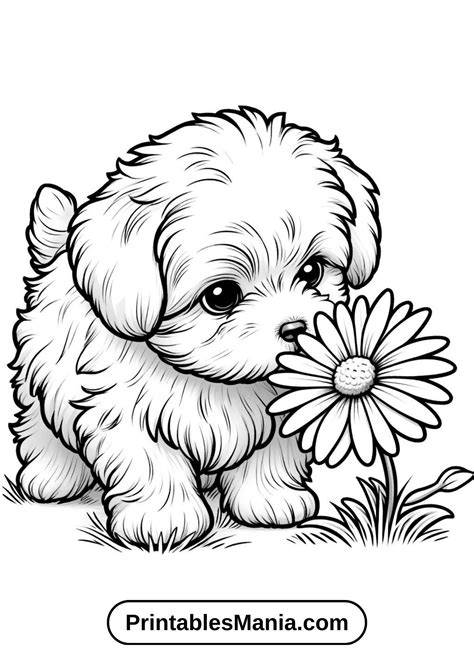 Puppy Coloring Pages
