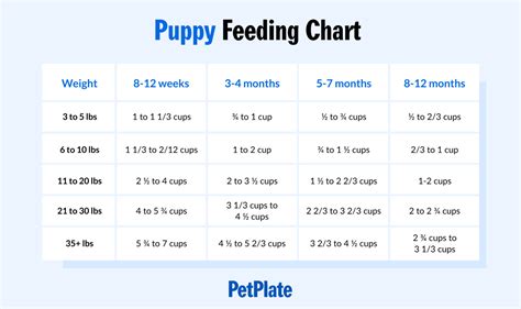 Puppy Food Amount Chart