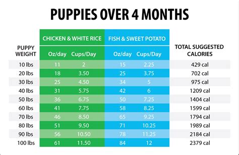 Puppy Food Chart