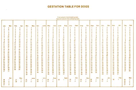 Puppy Gestation Calendar