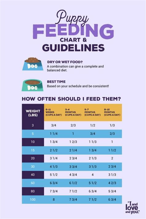 Puppy Kibble Requirements