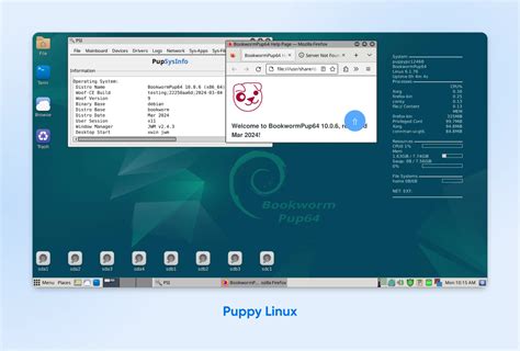 Puppy Linux distro