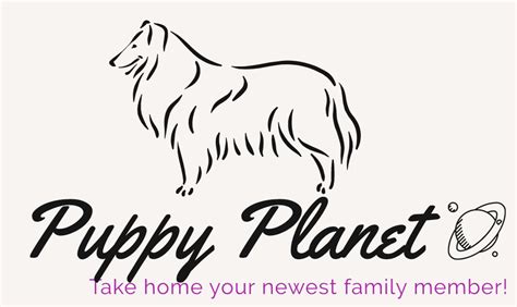 Puppy Planet Holwerd