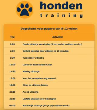 Puppy Training Schema