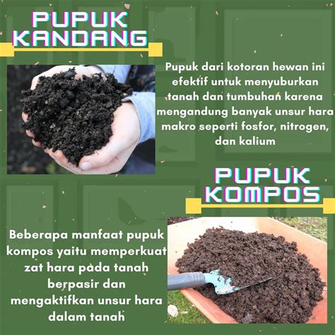 Pupuk Organik Daun Tanaman Indonesia