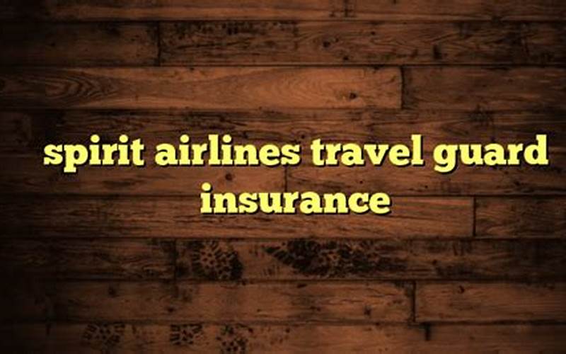 Purchasing Spirit Airlines Travel Insurance