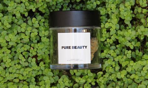 Unleashing the Power of Pure Beauty Weed: Experience Nature's Refreshing Miracle