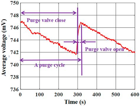 Purge intervals