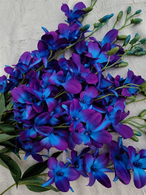 Purple Blue Orchid Flower