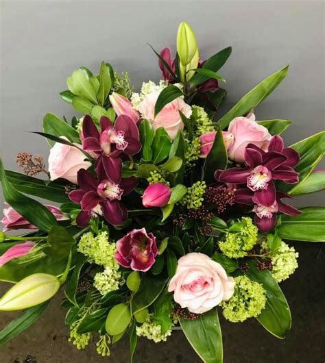 Purple Orchid Calgary