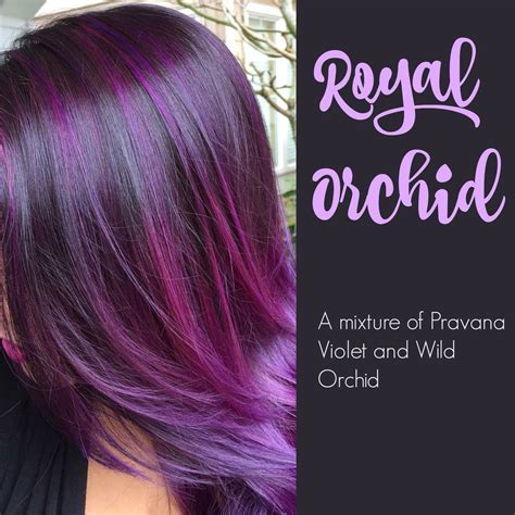 Purple Orchid Hair Color