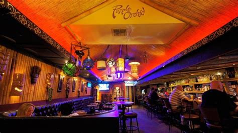 Purple Orchid In El Segundo