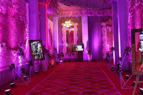 Purple Orchids Party Plot