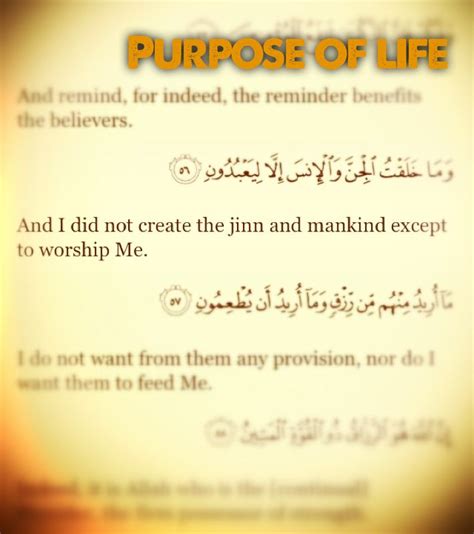 Purpose Of Life Islam Quotes