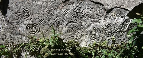 Pusharo Petroglyphs Manu Peru