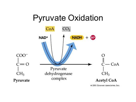 Oxidation Diagram