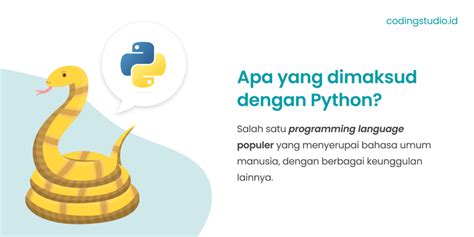 Python: Pengertian, Fungsi, & Contoh Praktis