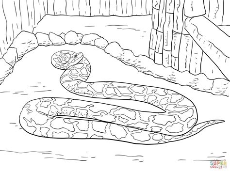 Python Coloring Pages