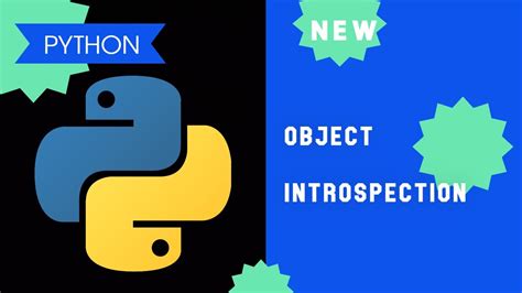Python Object Introspection