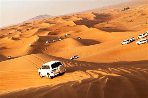 Qatar Desert Tips