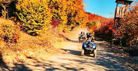 Quad Bike Tour Lake Constance