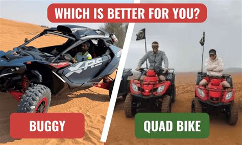Quad Bike vs Buggy