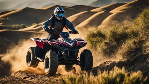Quad Biking Options