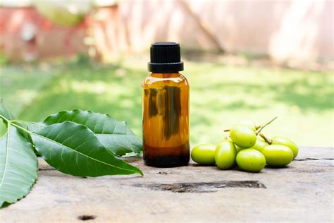 Quality Control and Precautions for Neem Oil Use