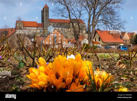 Quedlinburg in spring