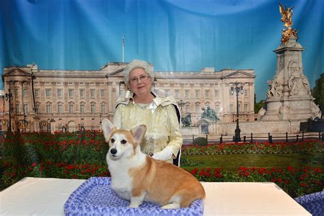 Queen's Corgi