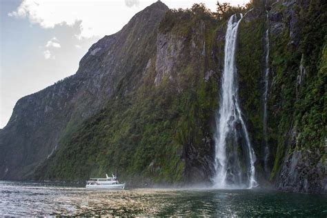 Queenstown Milford Sound Tour: Is the Scenic Flight Worth It?