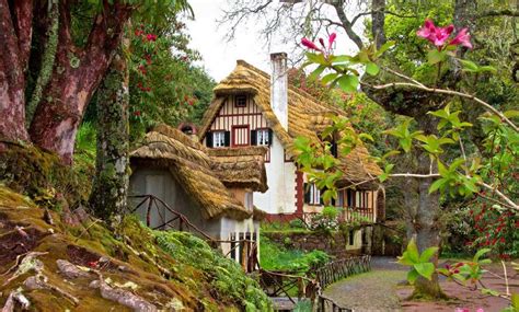 Queimadas Forest Park